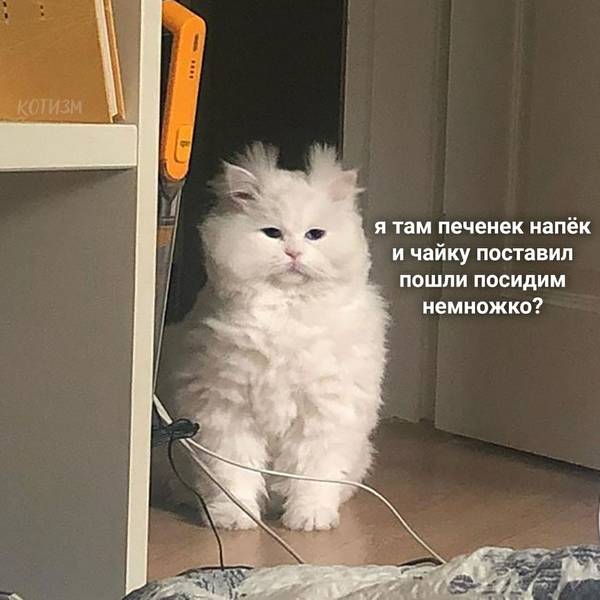 http://upforme.ru/uploads/0004/02/e8/1734/t916829.jpg