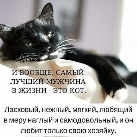 http://upforme.ru/uploads/0004/02/e8/1734/t92178.jpg