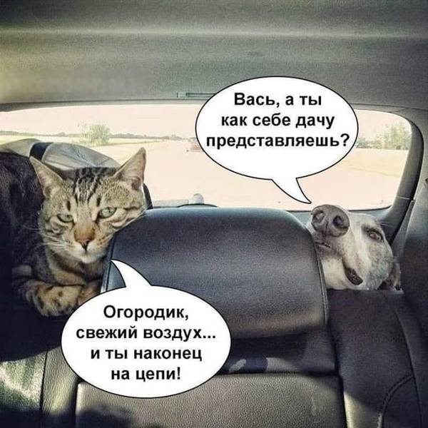 http://upforme.ru/uploads/0004/02/e8/1734/t922066.jpg