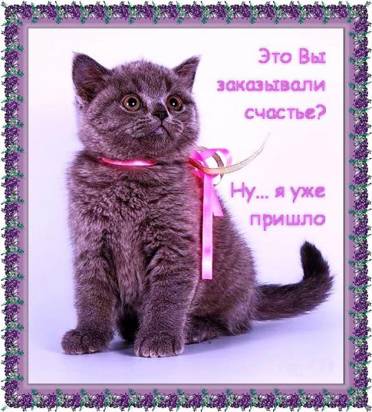 http://upforme.ru/uploads/0004/02/e8/1734/t926118.jpg