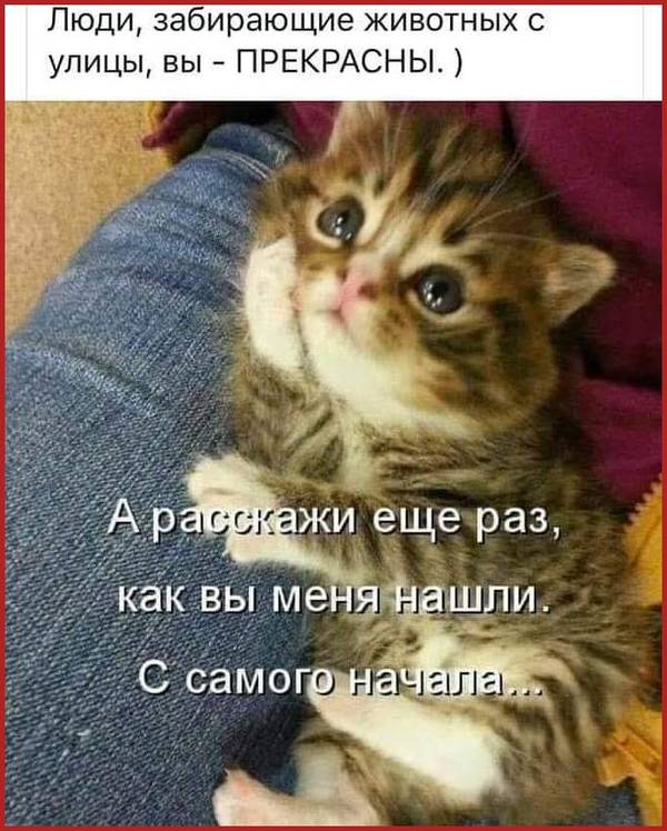 http://upforme.ru/uploads/0004/02/e8/1734/t926186.jpg
