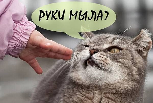 http://upforme.ru/uploads/0004/02/e8/1734/t93115.jpg