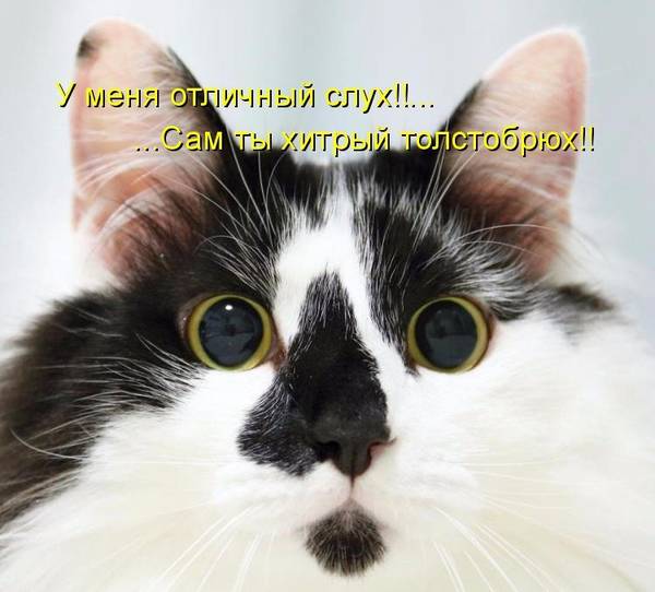 http://upforme.ru/uploads/0004/02/e8/1734/t93741.jpg