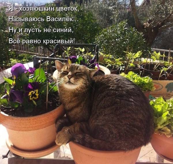 http://upforme.ru/uploads/0004/02/e8/1734/t940315.jpg