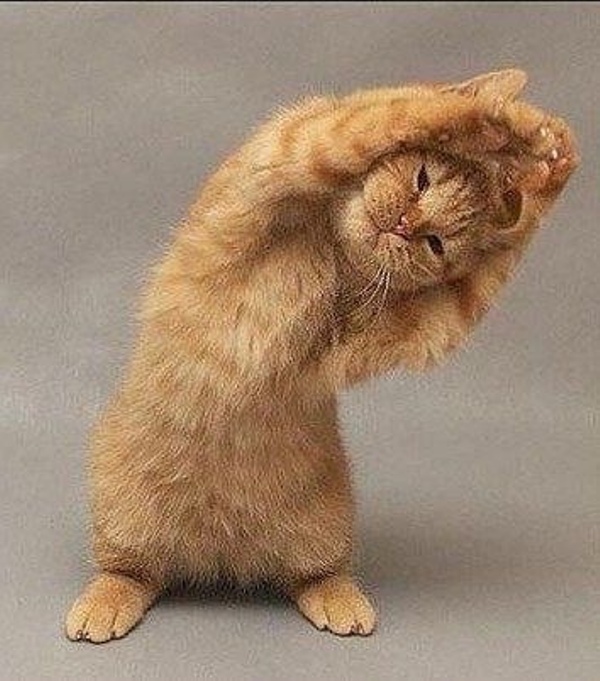 http://upforme.ru/uploads/0004/02/e8/1734/t94567.jpg
