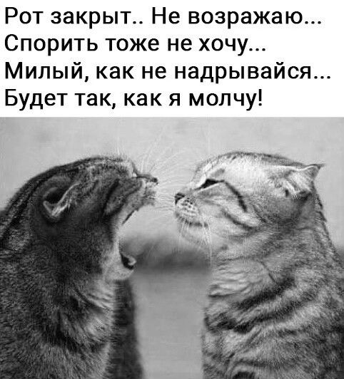 http://upforme.ru/uploads/0004/02/e8/1734/t94720.jpg