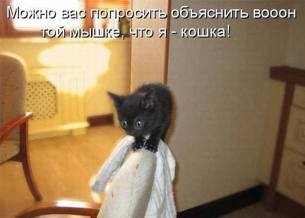 http://upforme.ru/uploads/0004/02/e8/1734/t95588.jpg