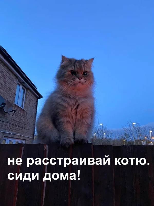 http://upforme.ru/uploads/0004/02/e8/1734/t960770.jpg