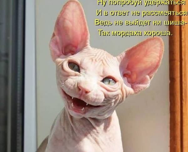 http://upforme.ru/uploads/0004/02/e8/1734/t96207.jpg