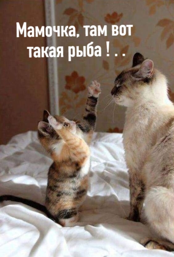 http://upforme.ru/uploads/0004/02/e8/1734/t96268.jpg