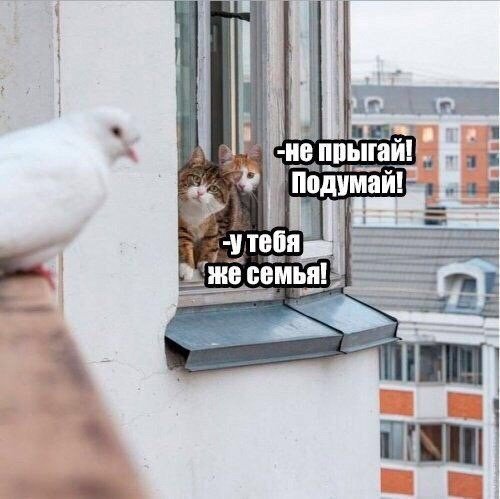 http://upforme.ru/uploads/0004/02/e8/1734/t966143.jpg