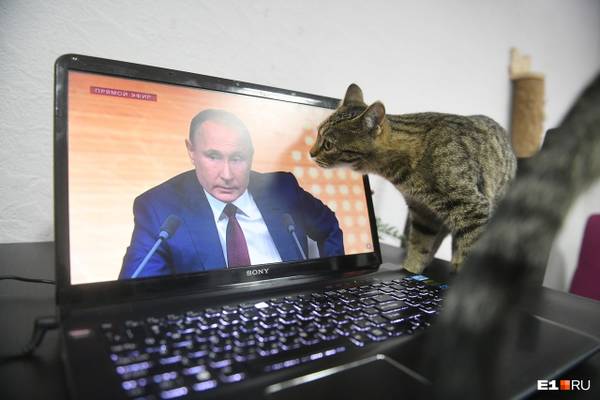 http://upforme.ru/uploads/0004/02/e8/1734/t97407.jpg