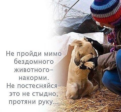 http://upforme.ru/uploads/0004/02/e8/1734/t977741.jpg