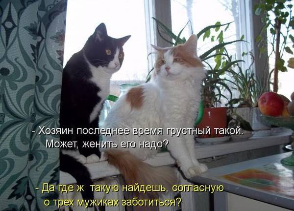 http://upforme.ru/uploads/0004/02/e8/1734/t98768.jpg