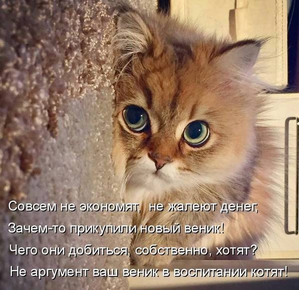 http://upforme.ru/uploads/0004/02/e8/1734/t988260.jpg