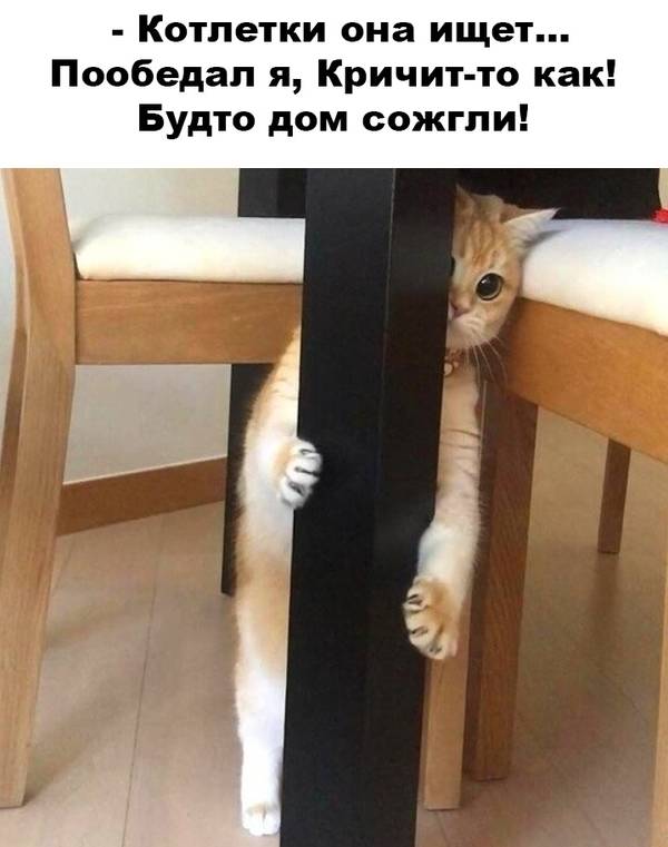 http://upforme.ru/uploads/0004/02/e8/1734/t990151.jpg