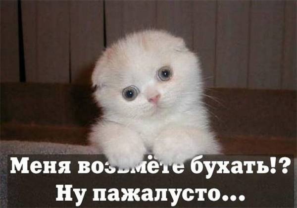 http://upforme.ru/uploads/0004/02/e8/1734/t99250.jpg
