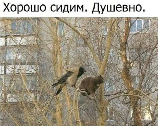 http://upforme.ru/uploads/0004/02/e8/1734/t995710.jpg
