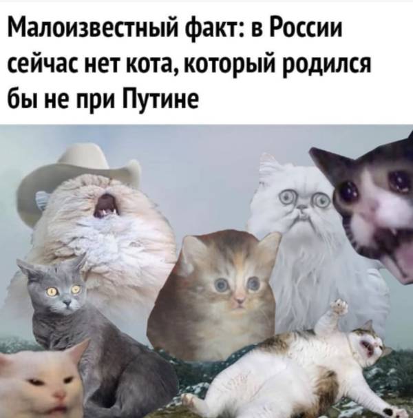 http://upforme.ru/uploads/0004/02/e8/1734/t99596.jpg