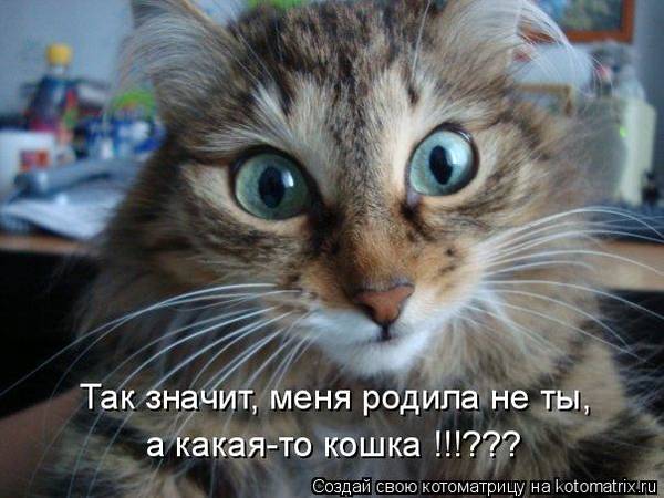 http://upforme.ru/uploads/0004/02/e8/1734/t997541.jpg