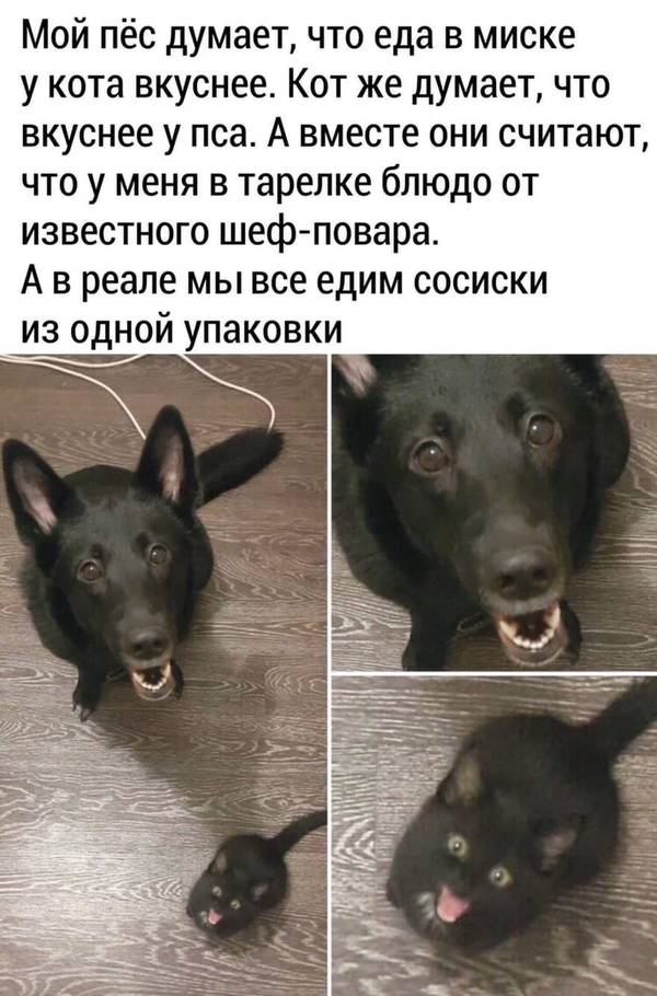 http://upforme.ru/uploads/0004/02/e8/1734/t99986.jpg