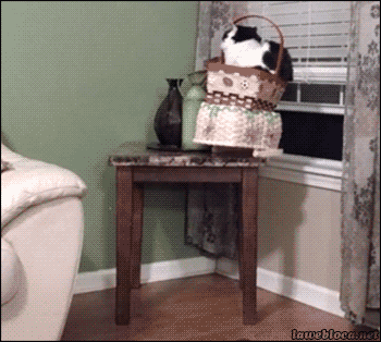 http://upforme.ru/uploads/0004/02/e8/7248/t11470.gif