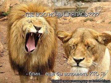 http://upforme.ru/uploads/0004/02/e8/7248/t13068.jpg