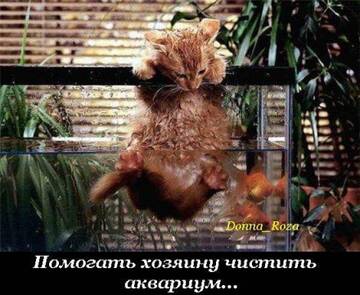 http://upforme.ru/uploads/0004/02/e8/7248/t162064.jpg