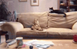 http://upforme.ru/uploads/0004/02/e8/7248/t207075.gif