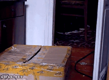 http://upforme.ru/uploads/0004/02/e8/7248/t223292.gif