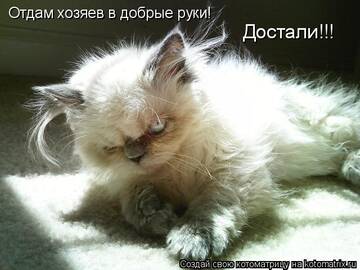 http://upforme.ru/uploads/0004/02/e8/7248/t242177.jpg