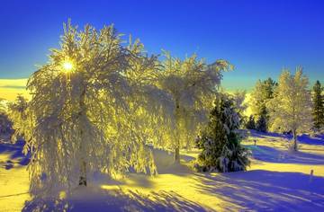 http://upforme.ru/uploads/0004/02/e8/7248/t27234.jpg