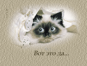 http://upforme.ru/uploads/0004/02/e8/7248/t299221.gif