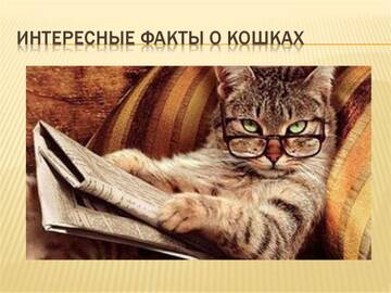 http://upforme.ru/uploads/0004/02/e8/7248/t315381.jpg
