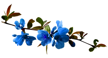 http://upforme.ru/uploads/0004/02/e8/7248/t315939.png