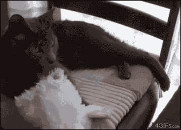 http://upforme.ru/uploads/0004/02/e8/7248/t318155.gif