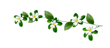 http://upforme.ru/uploads/0004/02/e8/7248/t324555.png