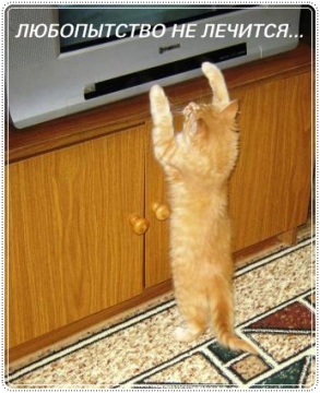 http://upforme.ru/uploads/0004/02/e8/7248/t345537.jpg