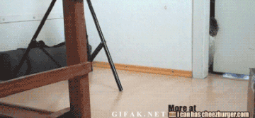 http://upforme.ru/uploads/0004/02/e8/7248/t347620.gif