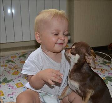 http://upforme.ru/uploads/0004/02/e8/7248/t351493.jpg