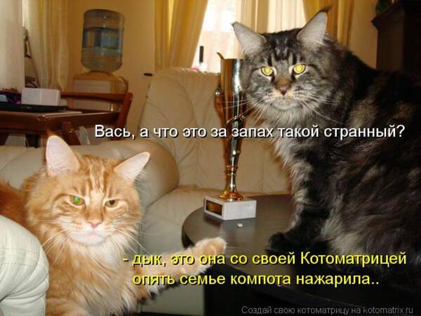 http://upforme.ru/uploads/0004/02/e8/7248/t370227.jpg