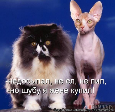 http://upforme.ru/uploads/0004/02/e8/7248/t384647.jpg