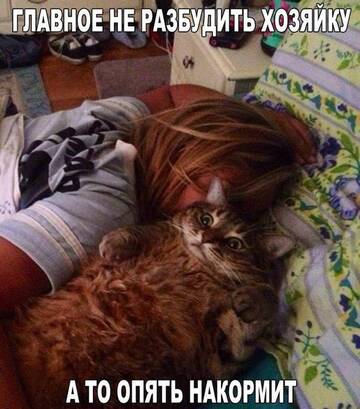 http://upforme.ru/uploads/0004/02/e8/7248/t390053.jpg