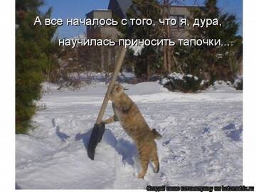 http://upforme.ru/uploads/0004/02/e8/7248/t418603.jpg