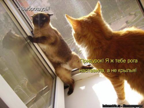 http://upforme.ru/uploads/0004/02/e8/7248/t428546.jpg