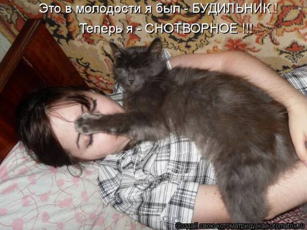 http://upforme.ru/uploads/0004/02/e8/7248/t431227.jpg