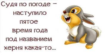 http://upforme.ru/uploads/0004/02/e8/7248/t43806.jpg