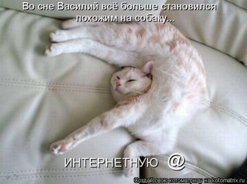 http://upforme.ru/uploads/0004/02/e8/7248/t482231.jpg