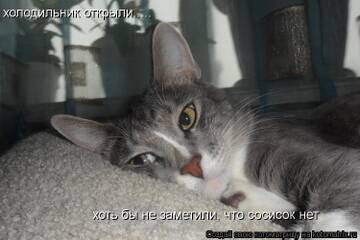 http://upforme.ru/uploads/0004/02/e8/7248/t494041.jpg