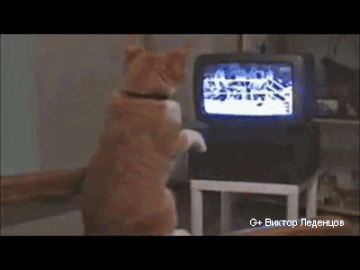 http://upforme.ru/uploads/0004/02/e8/7248/t508698.gif